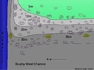 Bushy West